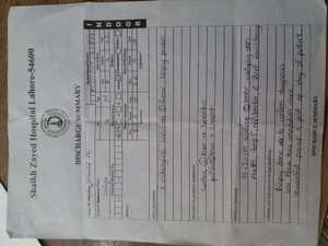 Whatsapp image 2018 05 29 at 1.11.12 pm %281%29