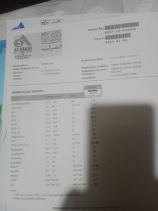 72236661 455420321736665 8240067346341822464 n